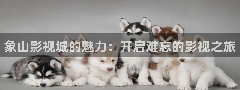 老湿影院在线免费看：象山影视城的魅力：开启难忘的影视之旅