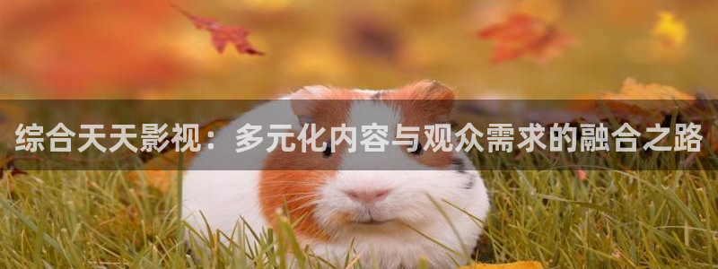 老湿风月影院：综合天天影视：多元化内容与观众需求的融合之路