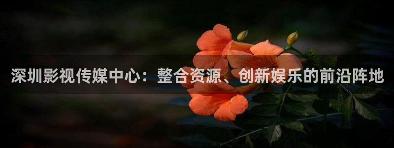 午夜影院老湿机：深圳影视传媒中心：整合资源、创新娱乐的前沿阵地