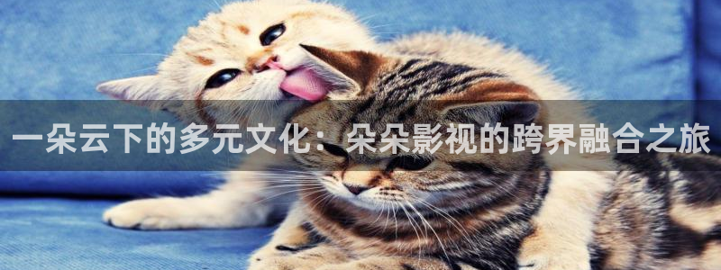 老湿机午夜影院：一朵云下的多元文化：朵朵影视的跨界融合之旅