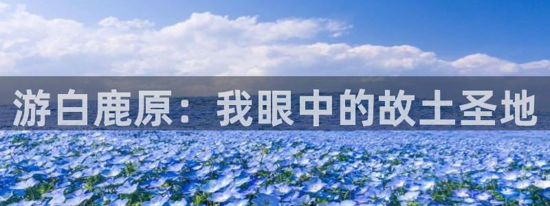 老湿湿影院：游白鹿原：我眼中的故土圣地