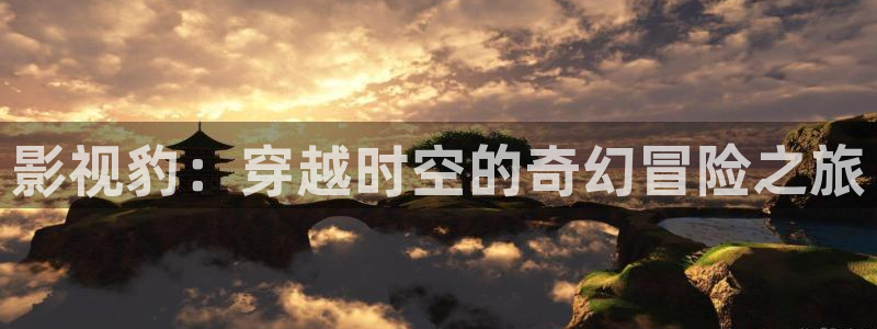 老湿人影院：影视豹：穿越时空的奇幻冒险之旅