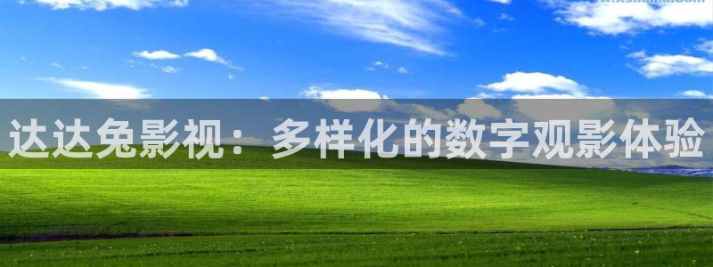 老湿免费电影：达达兔影视：多样化的数字观影体验